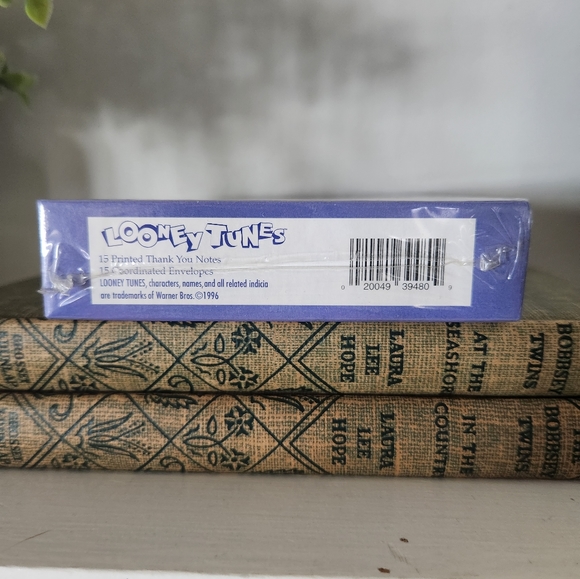 New Vintage 1996 Looney Toons "Taz" Tasmanian Devil Birthday Thank You Cards - Picture 4 of 4